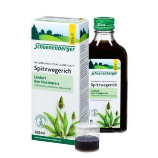 Spitzwegerich Saft