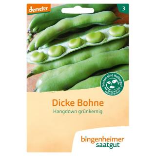 Dickebohne Hangdown
