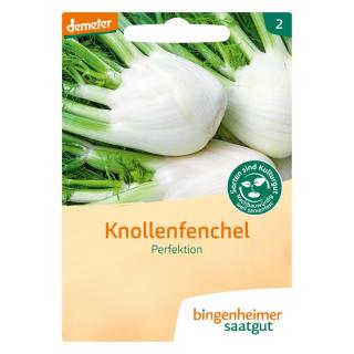 Knollenfenchel Perfektion