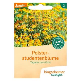 Tagetes