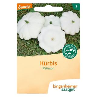 Kürbis Patisson