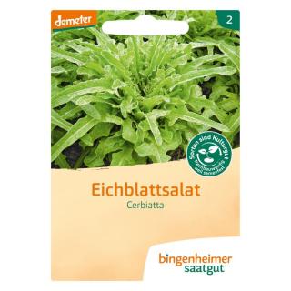 Pflücksalat Cerbiatta