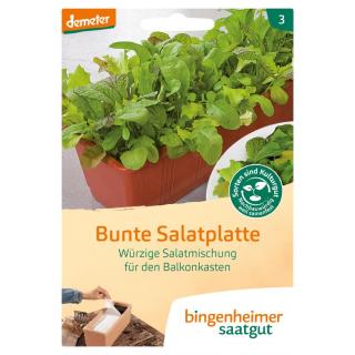 Bunte Salatmischung