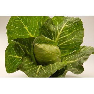 Kohl, Spitz-