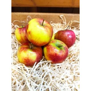 Apfel Natyra
