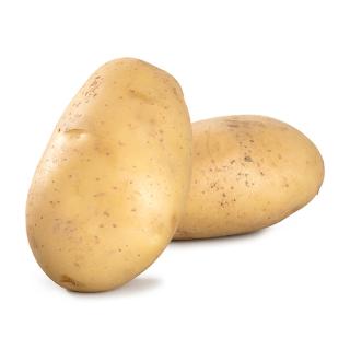 Kartoffeln Belana, festkochend