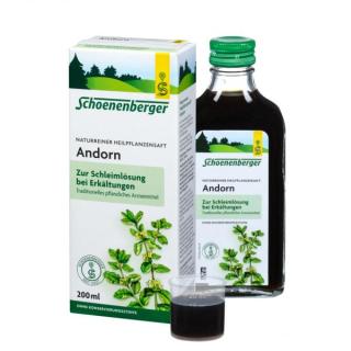 Andorn-Saft
