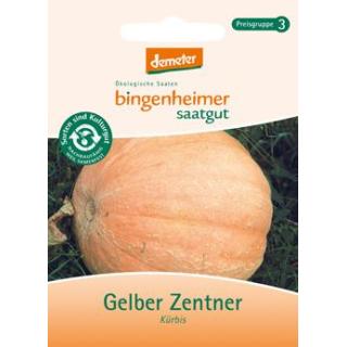 Kürbis Gelber Zentner