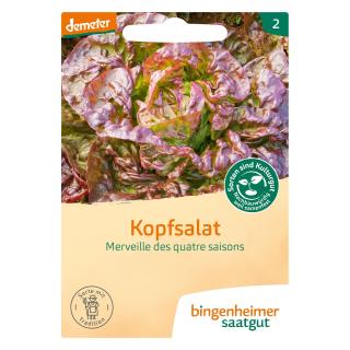 Kopfsalat Merveille