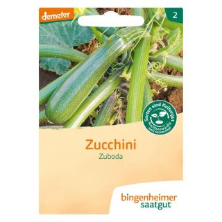 Zucchini Zuboda