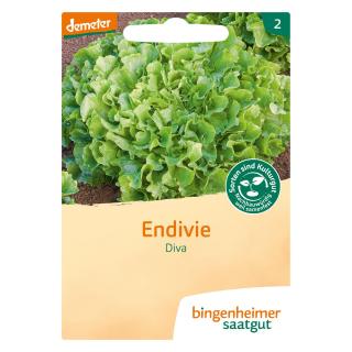 Endivie Diva