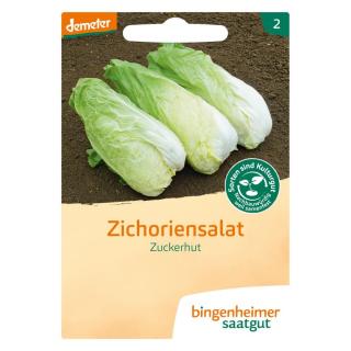 Zuckerhut