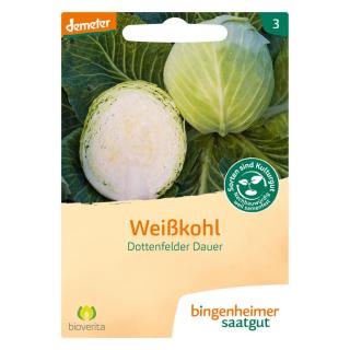 Weißkohl Dottenfelder Dauer