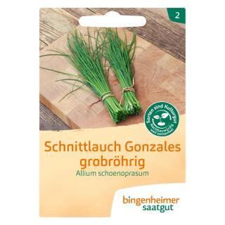 Schnittlauch grobröhrig