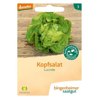 Kopfsalat  Lucinde