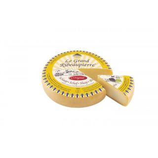 Ribeaupierre - Schaf