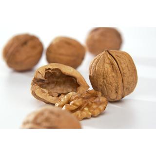 Nüsse, Walnuss